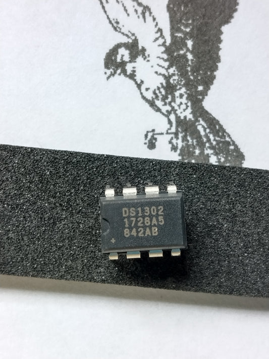 DS1302+