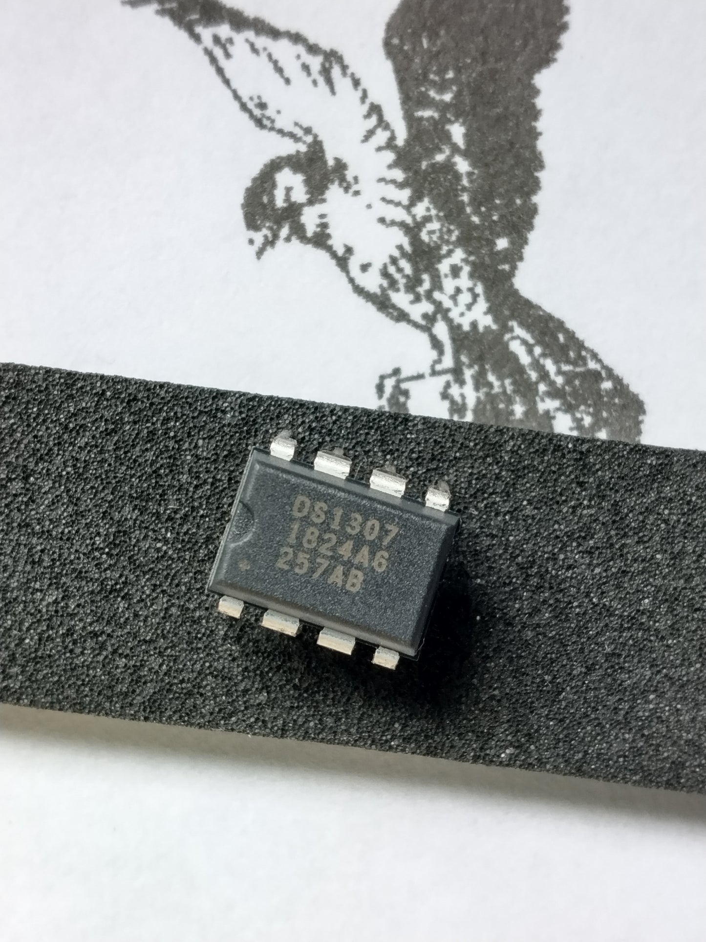 DS1307+